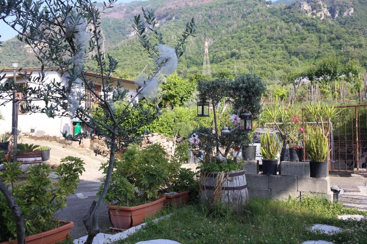 סנט'אנטוניו אבאטה Annabella'S Country House מראה חיצוני תמונה